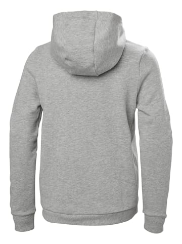 Helly Hansen Bluza "Logo" w kolorze szarym