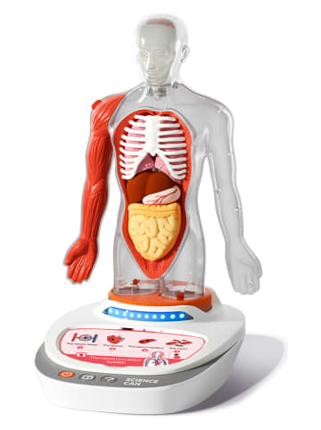 TOPBRIGHT Anatomiemodell "Mein Körper" - ab 3 Jahren