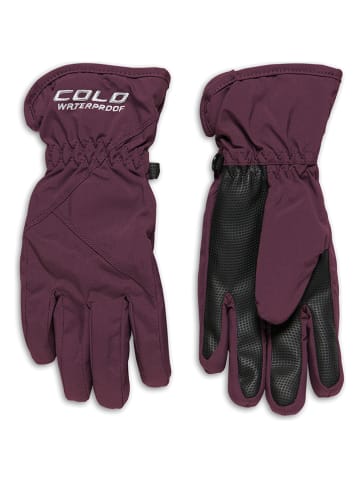 COLD Softshellhandschuhe in Pflaume