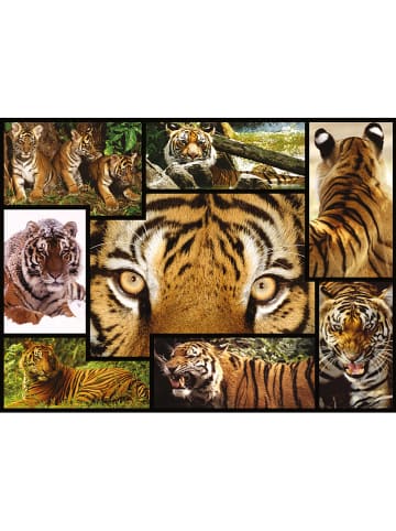 ambassador 1.000tlg. Puzzle "Tiger" - ab 12 Jahren