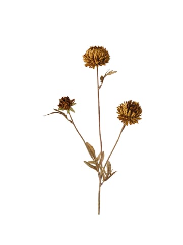 Boltze Dekoracyjny kwiat w kolorze jasnobrązowym - 13 x 70 cm