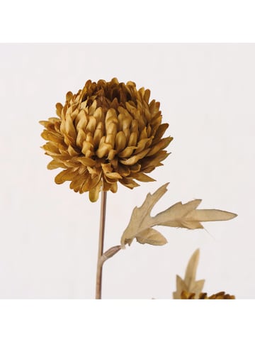 Boltze Dekoracyjny kwiat w kolorze jasnobrązowym - 13 x 70 cm