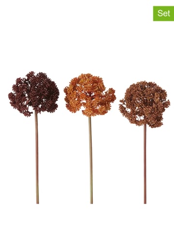 Boltze Gałązki dekoracyjne (3 szt.) w kolorze brązowym - dł. 35 cm