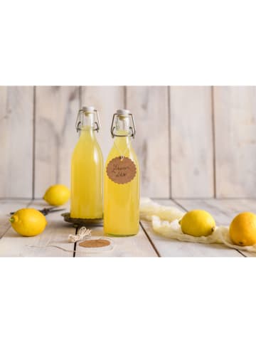 Dr. Oetker 6-delige set: beugelflessen transparant - 520 ml