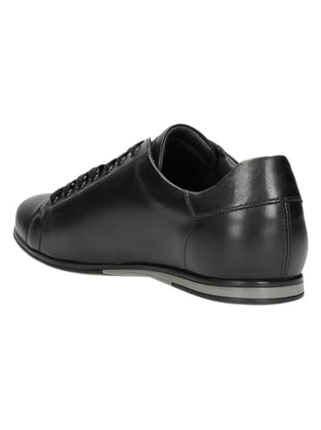 Wojas Leren sneakers zwart