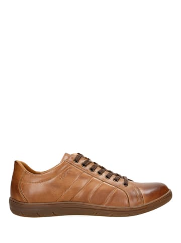 Wojas Leren sneakers bruin