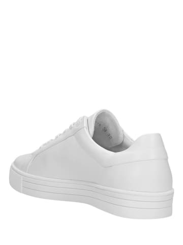 Wojas Leren sneakers wit