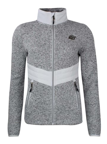 Peak Mountain Fleecejacke "Atormi" in Grau