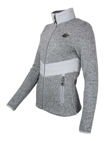 Peak Mountain Fleecejacke "Atormi" in Grau
