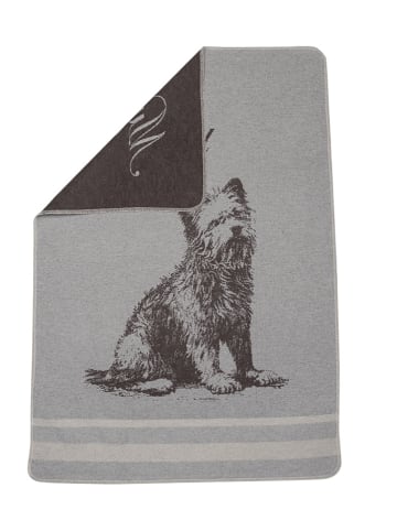 David Fussenegger Haustierdecke "Westie" in Grau