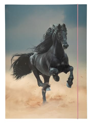 Folia Opbergmap "Black horse" meerkleurig