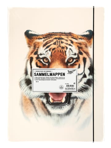 folia PAPER Sammelmappe "Roaring tiger" in Creme