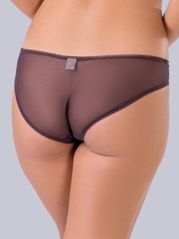 Valea Slip bruin