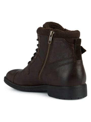 Geox Leder-Ankle-Boots "Jaylon" in Braun