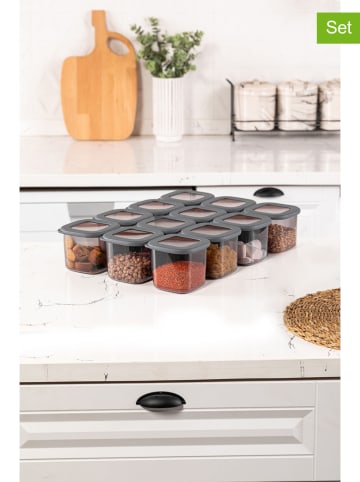 Violeta Home 12er-Set: Vorratsbehälter in Grau - 550 ml