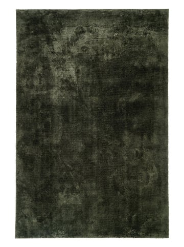 House Nordic Teppich in Dunkelgrün - (L)230 x (B)160 cm
