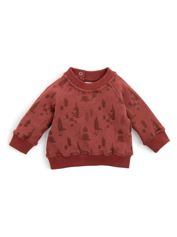 Moulin Roty Sweatshirt "Elliot"