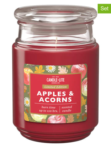 CANDLE-LITE Świece zapachowe (2 szt.) "Apples & Acorns" - 2 x 510 g