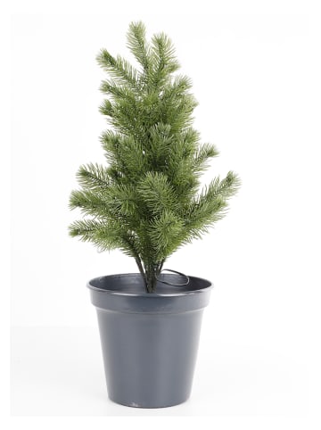 Profiline Mini-kunstkerstboom groen - (H)55 cm
