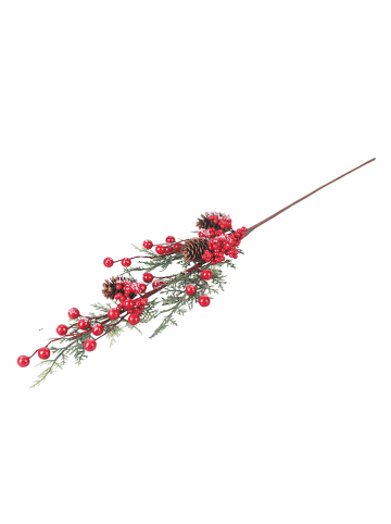 Villa d´Este Decoratieve tak groen/rood - (H)75 cm