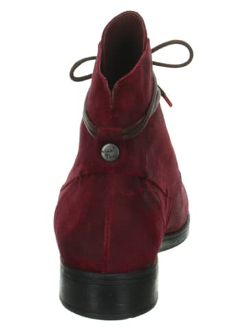 Think! Leder-Ankle-Boots "Denk!" in Bordeaux