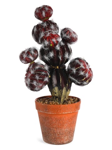 Depot Kunstplant "Cactus" lichtbruin/bordeaux - Ø 15,5 - (H)32 cm