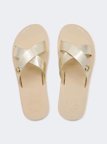 Flip Flop Pantoletten "Cross metallic 2" in Beige/ Gold