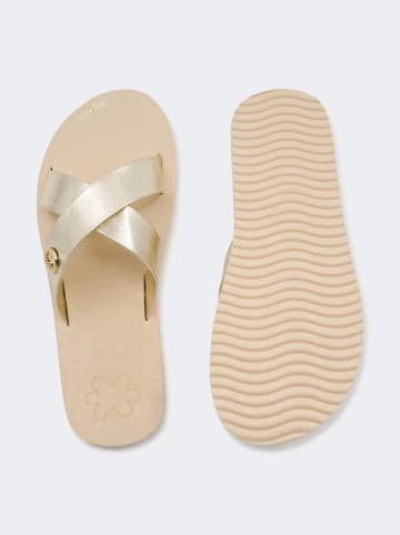 Flip Flop Pantoletten "Cross metallic 2" in Beige/ Gold