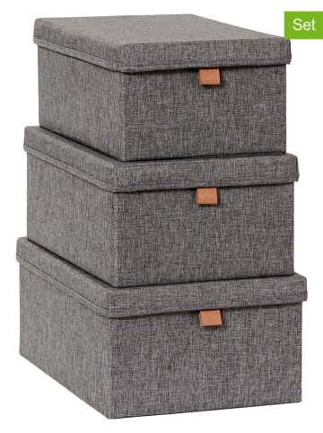 STORE IT 3-delige set: opbergboxen grijs