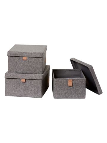 STORE IT 3er-Set: Ordnungsboxen in Grau