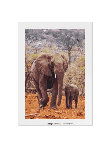 malango Malen nach Zahlen "Elefanten Duo" - ab 14 Jahren