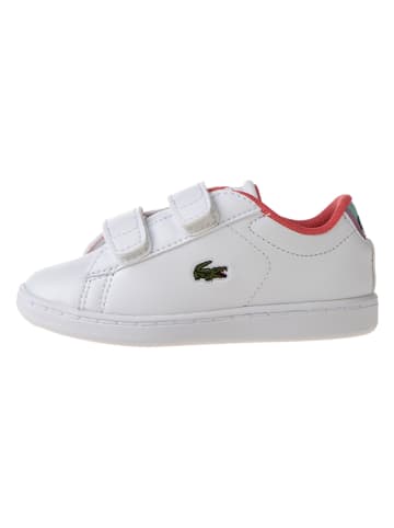 Lacoste Sneakers "Carnaby Evo" wit