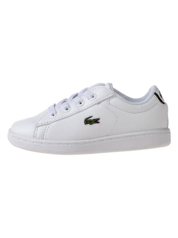 Lacoste Sneakers "Carnaby Evo" in Weiß