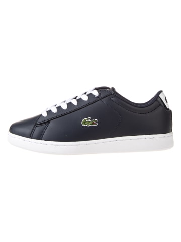 Lacoste Sneakers "Carnaby" donkerblauw