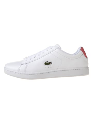Lacoste Sneakers "Carnaby Evo" wit