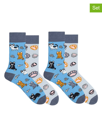 Spox Sox 2-delige set: sokken "Cats" blauw/lichtgrijs