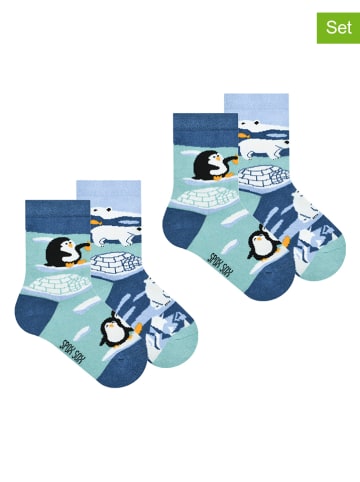 Spox Sox 2er-Set: Socken "Penguins and Polar bears" in Blau