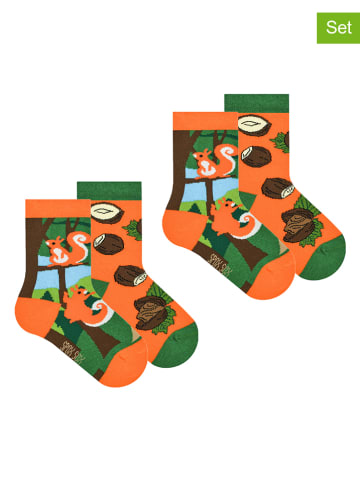 Spox Sox 2er-Set: Socken "Squirrels" in Orange