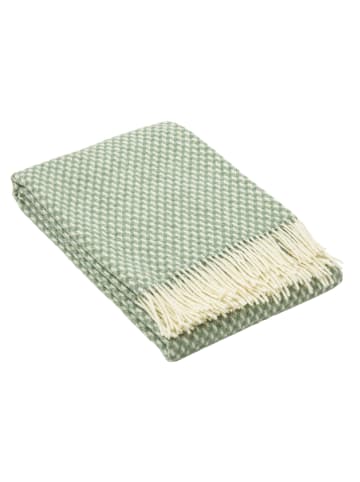Lanzaretti Plaid groen