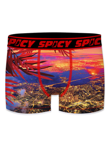 Spicy Bokserki (8 par) ze wzorem