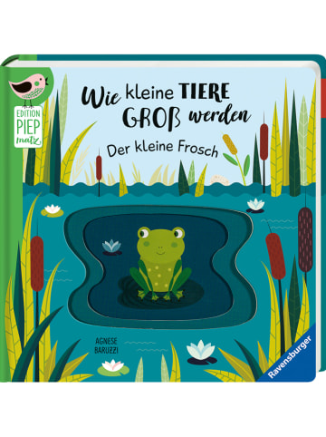 Ravensburger Bilderbuch "Wie kleine Tiere groß werden: Der kleine Frosch"