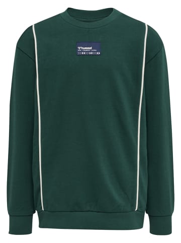 Hummel Sweatshirt "Ditmer" in Grün