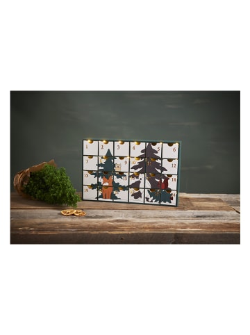 STAR Trading Kalendarz adwentowy LED "Forest Friends" ze wzorem - 38 x 24,5 cm