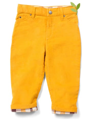 Little Green Radicals Spodnie sztruksowe w kolorze żółtym
