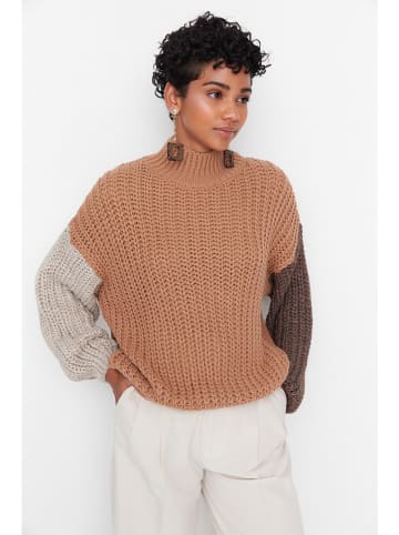 trendyol Rollkragenpullover in Bunt
