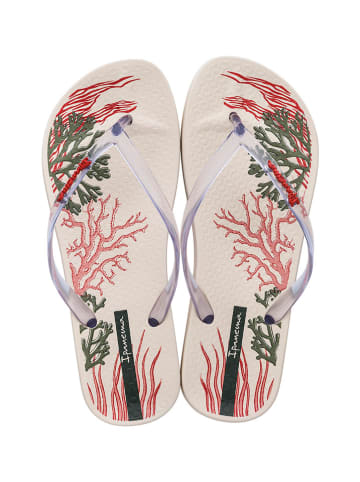 Ipanema Zehentrenner in Bunt/ Creme