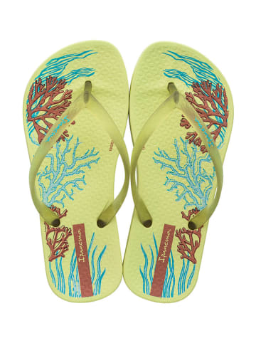 Ipanema Teenslippers groen/meerkleurig