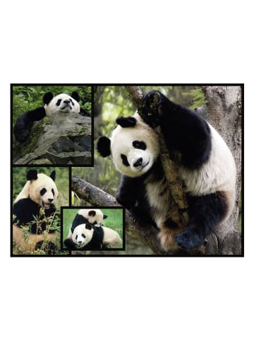 ambassador 1000-częściowe puzzle "Pandas" - 12+