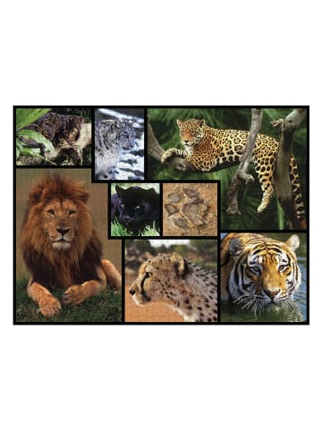 ambassador 1.000-delige puzzel "Wilde katten" - vanaf 12 jaar