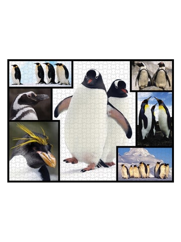 ambassador 1.000-delige puzzel "Pinguïns" - vanaf 12 jaar